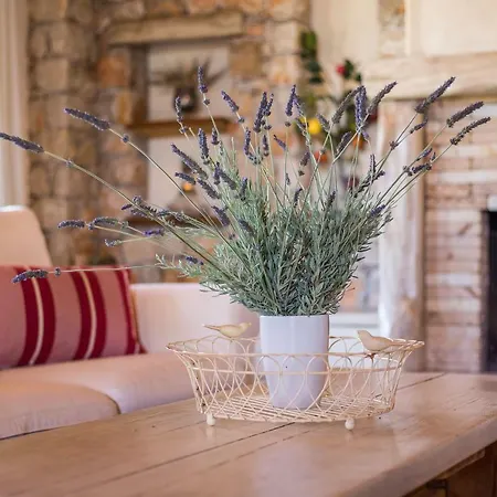 Villa Sunny Countryside - With Private Pool