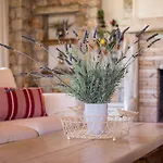 Villa Sunny Countryside - With Private Pool